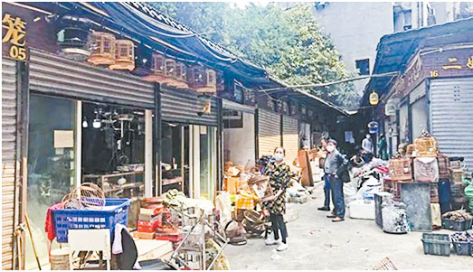 重庆市城市管理部门：拆除公园路花鸟市场和猫狗市场